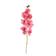 SINGLE ORCHID 62CM PINK