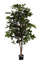OAK TREE W/944 LVS H 170CM GREEN