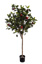 APPLE TREE W/492 LVS 10 FRUITS H 150CM GREEN