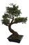 ELM BONSAI TREE W/3750 LVS 93CM GREEN