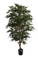 FICUS FOLIA A-TREE W/4992 LVS H 180CM GREEN