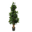SWEET LINK TREE W/648 LVS H 110CM GREEN