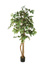 FICUS TREE W/756 LVS IN POT H 155 CM WHITE GREEN