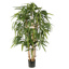 GIANT BAMBOO TREE X 6 W/506 LVS 150CM W/POT GREEN