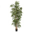 GIANT BAMBOO TREE X 10 W/1189 LVS 250CM W/POT GREEN